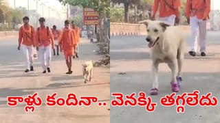 Optical Illusion: మీ కళ్ళు షార్ప్‌గానే ఉన్నాయా? అయితే ఈ చిత్రంలో దాగిఉన్న అరటిపండును 9 సెకన్లలో కనిపెట్టండి!