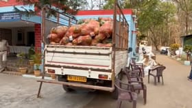 పైగి చూస్తే కూరగాయలు.. కాస్త జరిపి చూడగా కళ్లు చెదిరే దృశ్యం