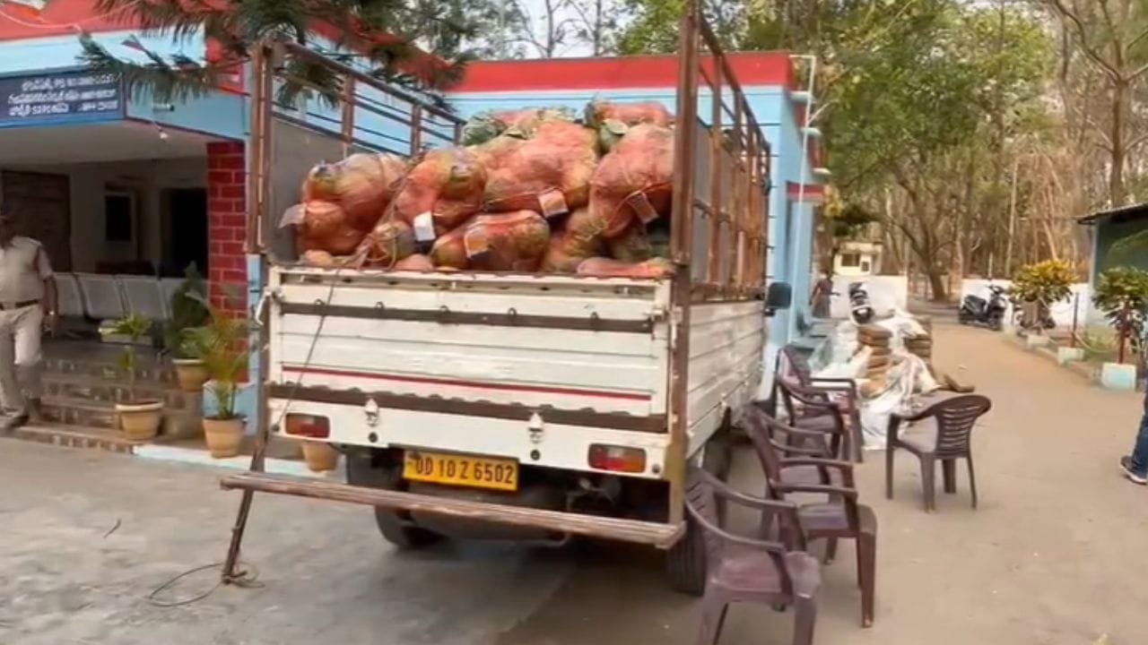 Watch: ఎంతకు తెగించార్రా.. పైకి చూస్తే కూరగాయలు.. కాస్త జరిపి చూడగా కళ్లు చెదిరే దృశ్యం