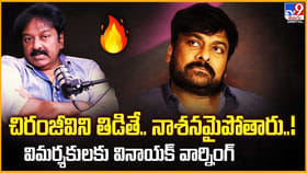 చిరంజీవిని తిడితే.. నాశనైపోతారు..! వినాయక్‌ వార్నింగ్