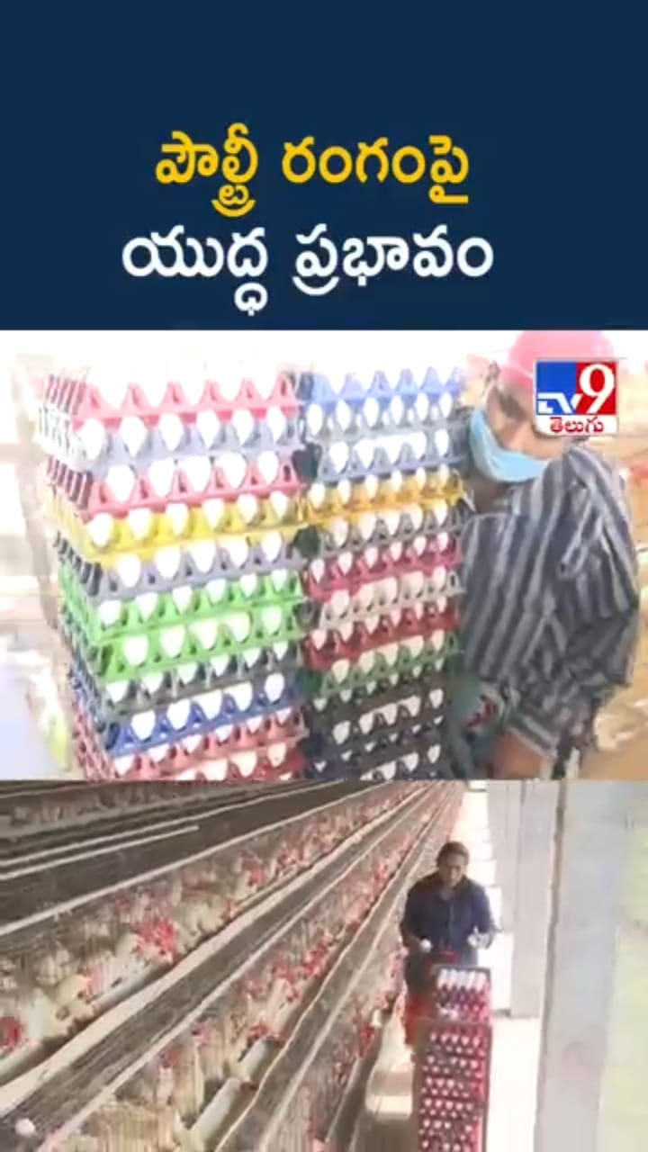 Egg Price: వార్ ఎఫెక్ట్.. కోడి గుడ్డు ధరలు భారీగా పతనం
