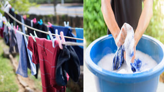 Most Beautiful Snakes: అందగత్తె పాములు.. మైమరచి చూస్తూ ఉంచిపోయారో మీ ప్రాణాలు హుష్‌! ఎందుకో తెల్సా..