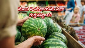 పుచ్చకాయ కొంటున్నారా?ఇలా చెక్‌ చేసి తీసుకోండి!లేదంటే లాస్ అవుతారు