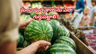 పిల్లలు పక్క తడుపుతున్నారా? ఈ సహజ చిట్కాలతో సమస్యను ఈజీగా పరిష్కరించండి!