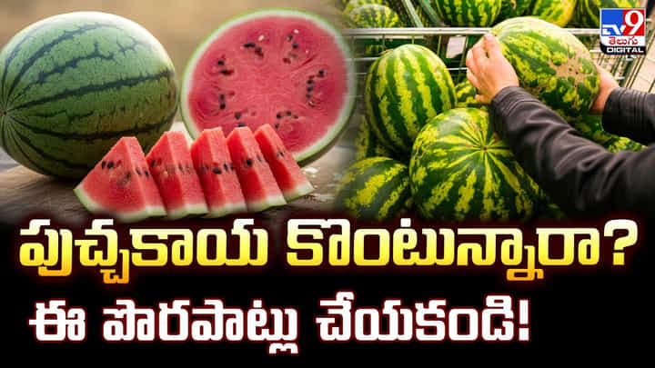 పుచ్చకాయ కొంటున్నారా ?? ఈ పొరపాట్లు చేయకండి! పుచ్చకాయ కొంటున్నారా ?? ఈ పొరపాట్లు చేయకండి!