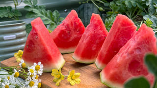 Amla Side Effects: డయాబెటిస్‌ రోగులు ఉసిరి తింటే ఏమవుతుందో తెలుసా? గుడ్డిగా నమ్మకండి