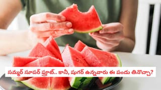 Pest Control: బొద్దింకలు మోసుకొచ్చే భయంకరమైన వ్యాధులివే.. తెలిస్తే వెంటనే బయటకు తరిమేస్తారు..