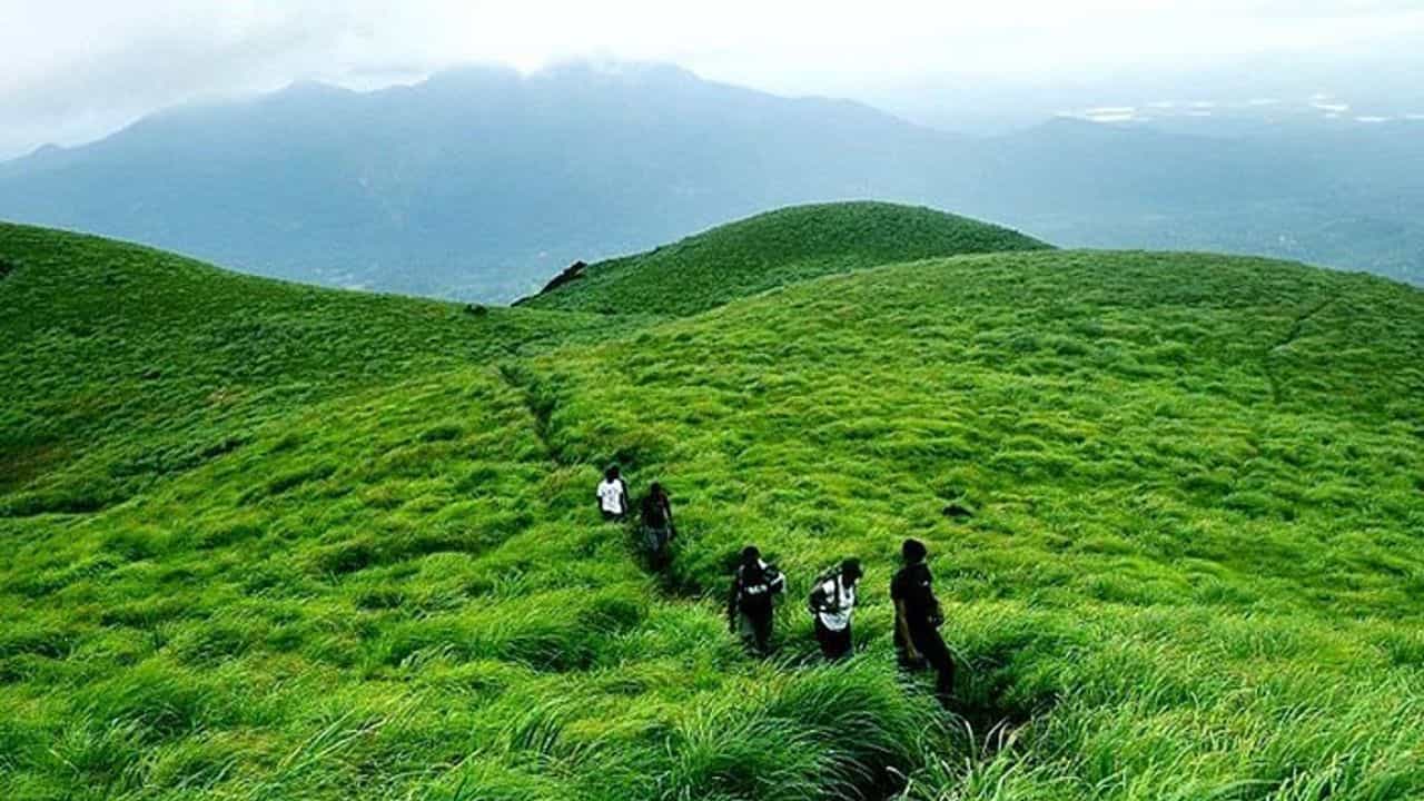 వయనాడ్, కోవలం: అడ్వెంచర్స్ అంటే ఇష్టపడే వారికి వయనాడు సరైన చోటని చెప్పవచ్చు. ఎందుకంటే ఇక్కడి ఎడక్కల్ గుహలు, బాణాసుర సాగర్ డ్యామ్, దట్టమైన అడవుల్లో ట్రెక్కింగ్కు అద్భుతంగా ఉంటాయి. ఇవి మీకు లైఫ్లోనే బెస్ట్ అడ్వెంచర్ అనుభూతిని ఇస్తుంది. ఇక కోవలం విషయానికి వస్తే ప్రపంచ ప్రసిద్ధ లైట్హౌస్ బీచ్ ఇక్కడే ఉంది. ఇక్కడ నీలిరంగు సముద్ర అలల మధ్య సూర్యాస్తమయాన్ని చూడటం ఒక అద్భుత అనుభూతి అనే చెప్పవచ్చు.