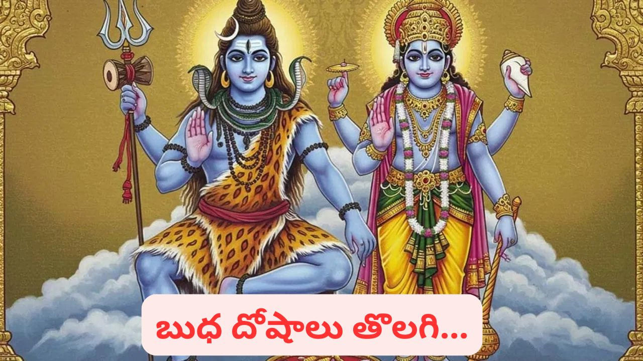 బుధాష్టమి.. విష్ణువుని శివుడు ఆరాధించిన రోజు.. అపార పుణ్యఫలం పొందాలంటే ఇలా చేయండి