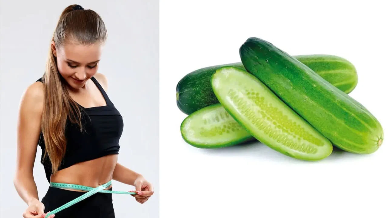 జీర్ణవ్యవస్థను శుభ్రపరచడంలో, జీర్ణశక్తిని పెంపొందించడంలో కీర దోసకాయ కీలక పాత్ర పోషిస్తుంది.అంతేకాకుండా బరువును తగ్గించడంలో కూడా కీలక పాత్రపోషిస్తుంది. ఇది మలబద్ధకాన్ని నివారిస్తుంది. చర్మానికి మెరుపునిచ్చే మెగ్నీషియం వంటి పోషకాలు ఉండటం వల్ల దీనిని సౌందర్య సాధనంగా కూడా ఉపయోగిస్తారు.