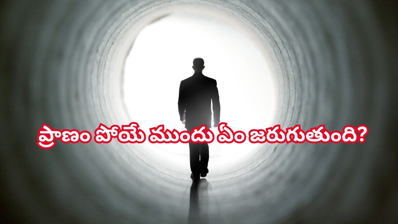 మరణించే ముందు మనిషిలో ఎలాంటి మార్పులు కనిపిస్తాయి..! గరుడ పురాణం ఏం చెబుతోంది?