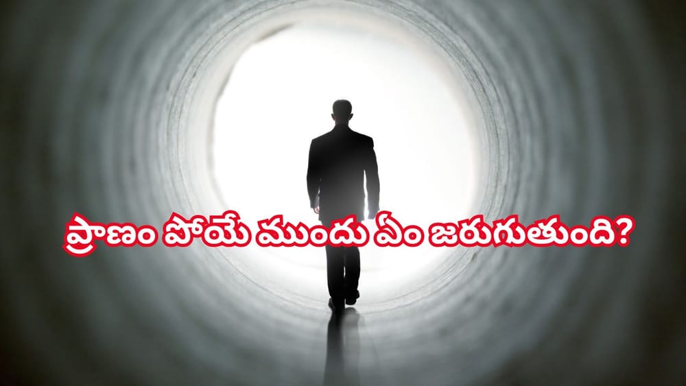 మరణించే ముందు మనిషిలో ఎలాంటి మార్పులు కనిపిస్తాయి..! గరుడ పురాణం ఏం చెబుతోంది?