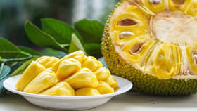 ప్రపంచంలోనే అతిపెద్ద పండు ఏది..? కాండానికే కాయలు.. బరువులో రారాజు