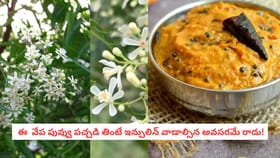 ఈ 'వేప పువ్వు పచ్చడి' తింటే ఇన్సులిన్ వాడాల్సిన అవసరమే రాదు!