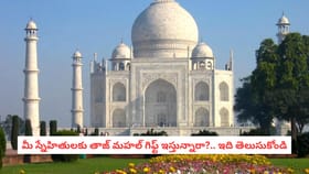 మీ స్నేహితులకు తాజ్ మహల్ గిఫ్ట్ ఇస్తున్నారా?.. ఇది తెలుసుకోండి
