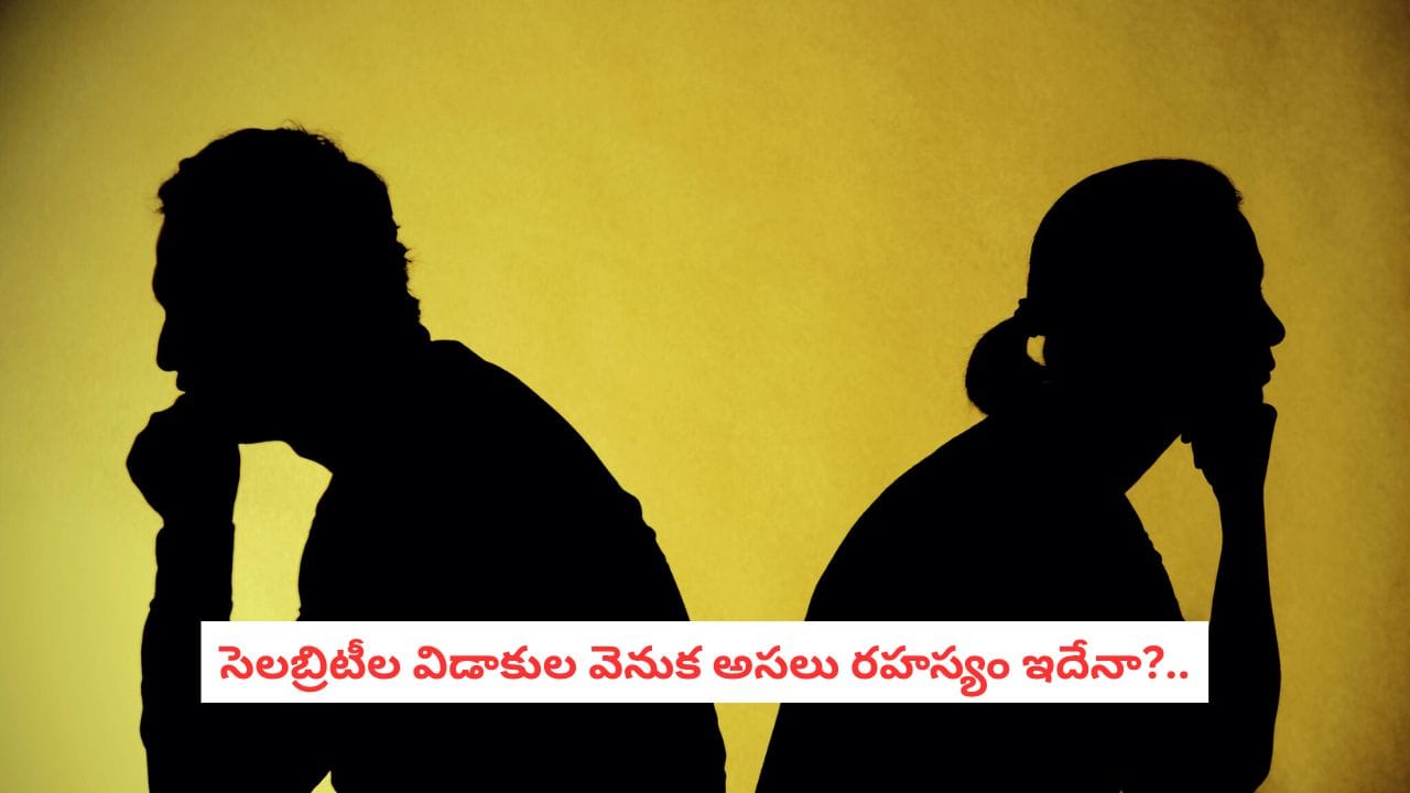 Celebrity Divorce: పిల్లలు పెద్దయ్యాక పెటాకులవుతున్న సంసారాలు.. అన్యోన్య జంటలు కూడా ఎందుకు విడిపోతున్నారో తెలుసా?