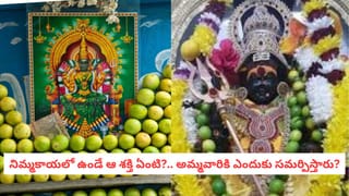 ఆదివారం మాంసాహారం ఎందుకు తినకూడదు? తింటే ఏం జరుగుతుందో తెలుసా..?