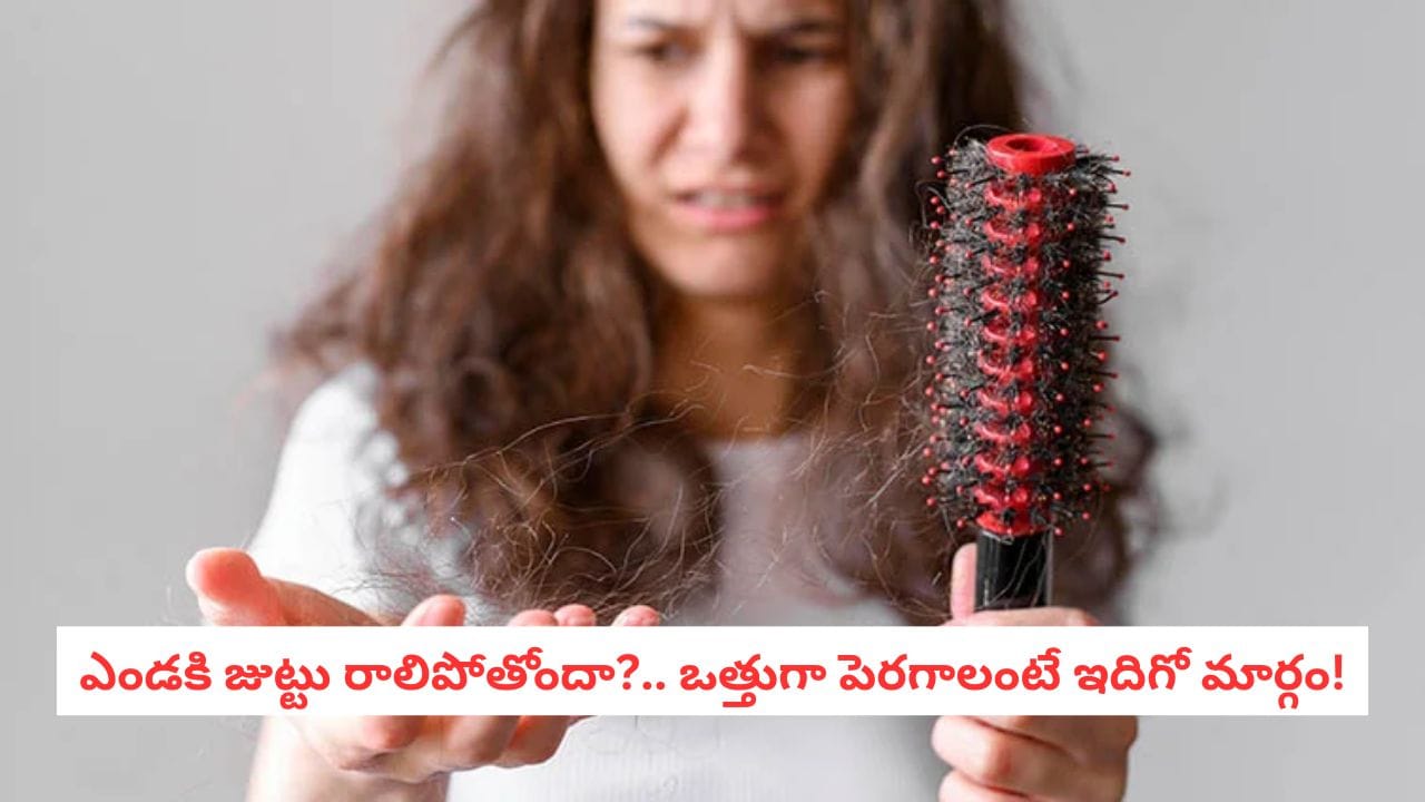 Summer Tips: వేసవిలో ఇది మీ జుట్టుకు శత్రువు.. ఫోలికల్స్ మూసుకుపోకుండా ఉండాలంటే ఈ జాగ్రత్తలు మస్ట్!