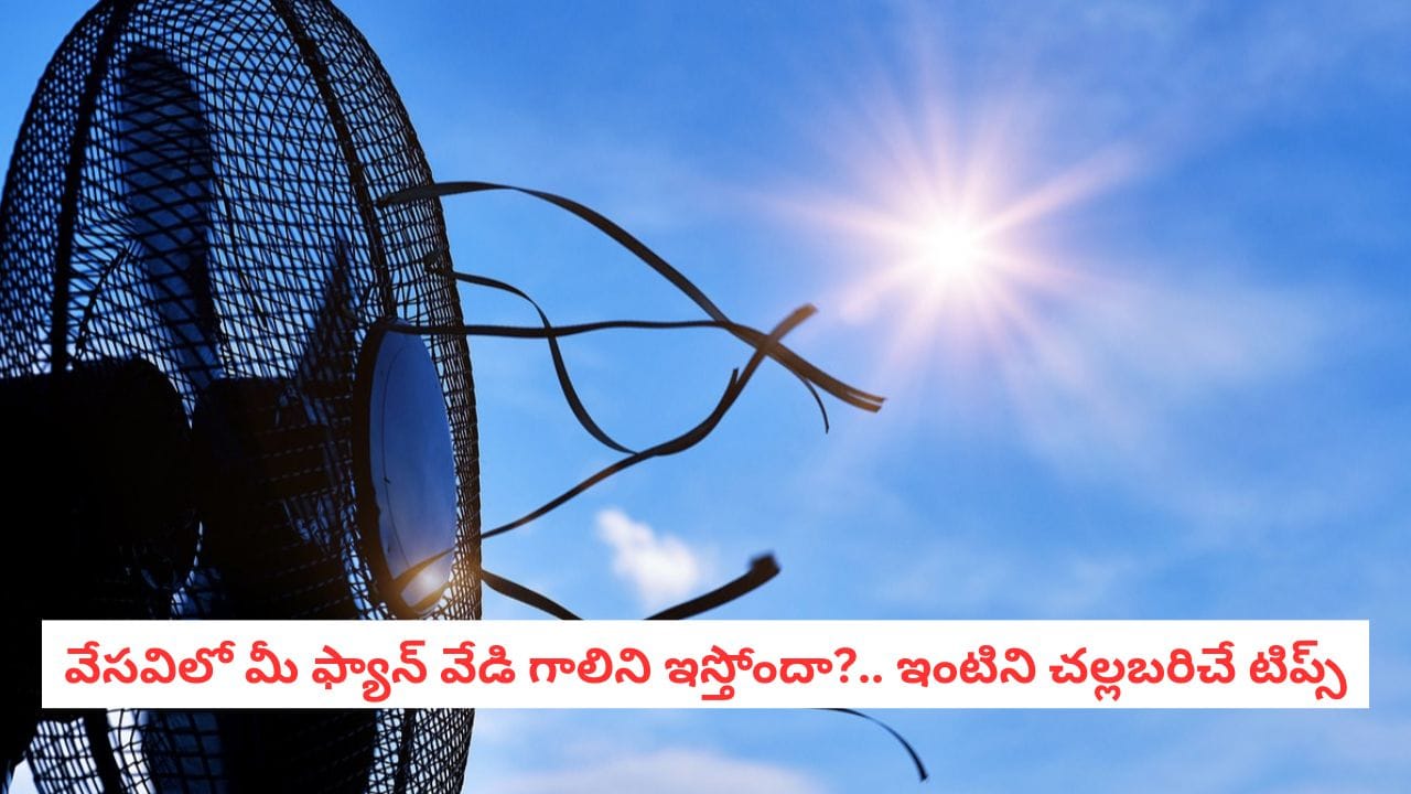 Summer Cooling: ఏసీ బిల్లు చూసి హడలిపోతున్నారా?.. మీ ఇంటిని ఫ్రీజర్‌లా మార్చే ‘లో-కాస్ట్’ రహస్యాలివే!