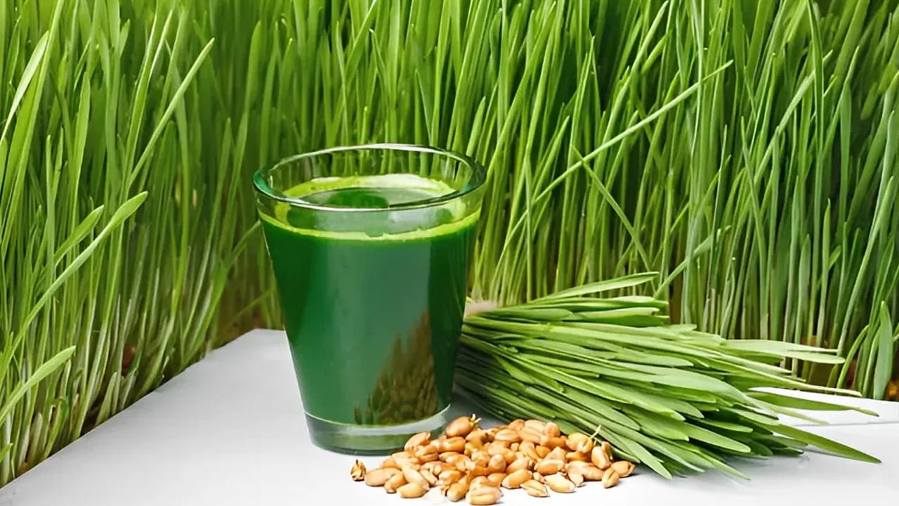 రక్తం తక్కువగా ఉన్నవారు ఈ జ్యూస్ ను తాగడం వరుసగా తాగితే రక్తంలో హిమోగ్లోబిన్ శాతాన్ని కూడా పెంచుతుంది. మలబద్ధకం లాంటి సమస్యలు కూడా రాకుండా చేస్తుంది. ఇంకా జీర్ణ సంబంధిత సమస్యలకు రాకుండా చేస్తుంది.