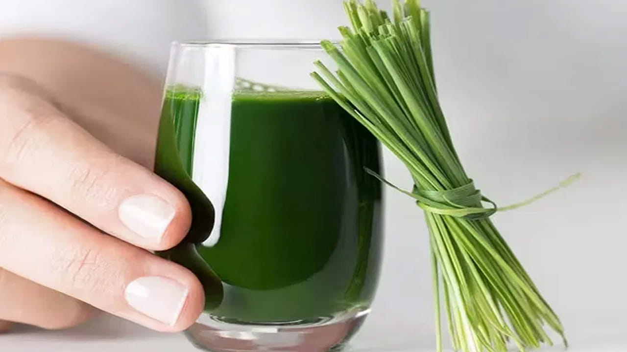 ఆ జ్యూస్ మరేదో కాదండి.. గోధుమ గడ్డి జ్యూస్. దీనిలో శరీరానికి కావాల్సిన పోషకాలు, విటమిన్లు, యాంటీఆక్సిడెంట్లు ఉన్నాయి. ఇది మన రోగ నిరోధక శక్తిని పెంచడమే కాకుండా మనల్ని ఆరోగ్యంగా ఉంచుతుంది. అందుకే, ఎంత ఖర్చు అయినా సరే దీనిని తాగడానికి ఎగబడుతున్నారు.