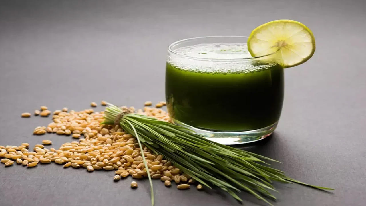 గోధుమ గడ్డి జ్యూస్ రక్తాన్ని కూడా శుద్ధి చేస్తుంది. నీరసంగా ఉన్నవారు దీనిని తీసుకుంటే లేచి పరుగెడతారు. అలాగే, జీర్ణక్రియ పనితీరు కూడా మెరుగుపడుతుంది. అలసటను పూర్తిగా తగ్గిస్తుంది. అలాగే, బరువును తగ్గించడంలో ఇది కీలక పాత్ర వహిస్తుంది.