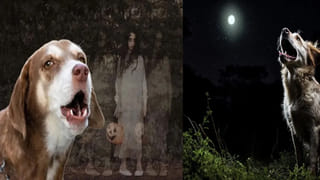 థియేటర్‌లో సినిమా చూస్తూ ఆఫీస్ వర్క్! ధురంధర్ 2 షోలో ల్యాప్‌టాప్‌తో టెక్కీ హల్చల్..