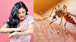 సముద్రంలో బయటపడ్డ 700ఏళ్లనాటి యుద్ధనౌక..! దాని నిండా ఇప్పటికీ చెక్కుచెదరని సంపద?