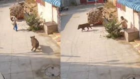 అమ్మబాబోయ్.. జర్రుంటే ప్రాణాలు పోయేవి.. ఈ వీడియో చూస్తే స్టన్..