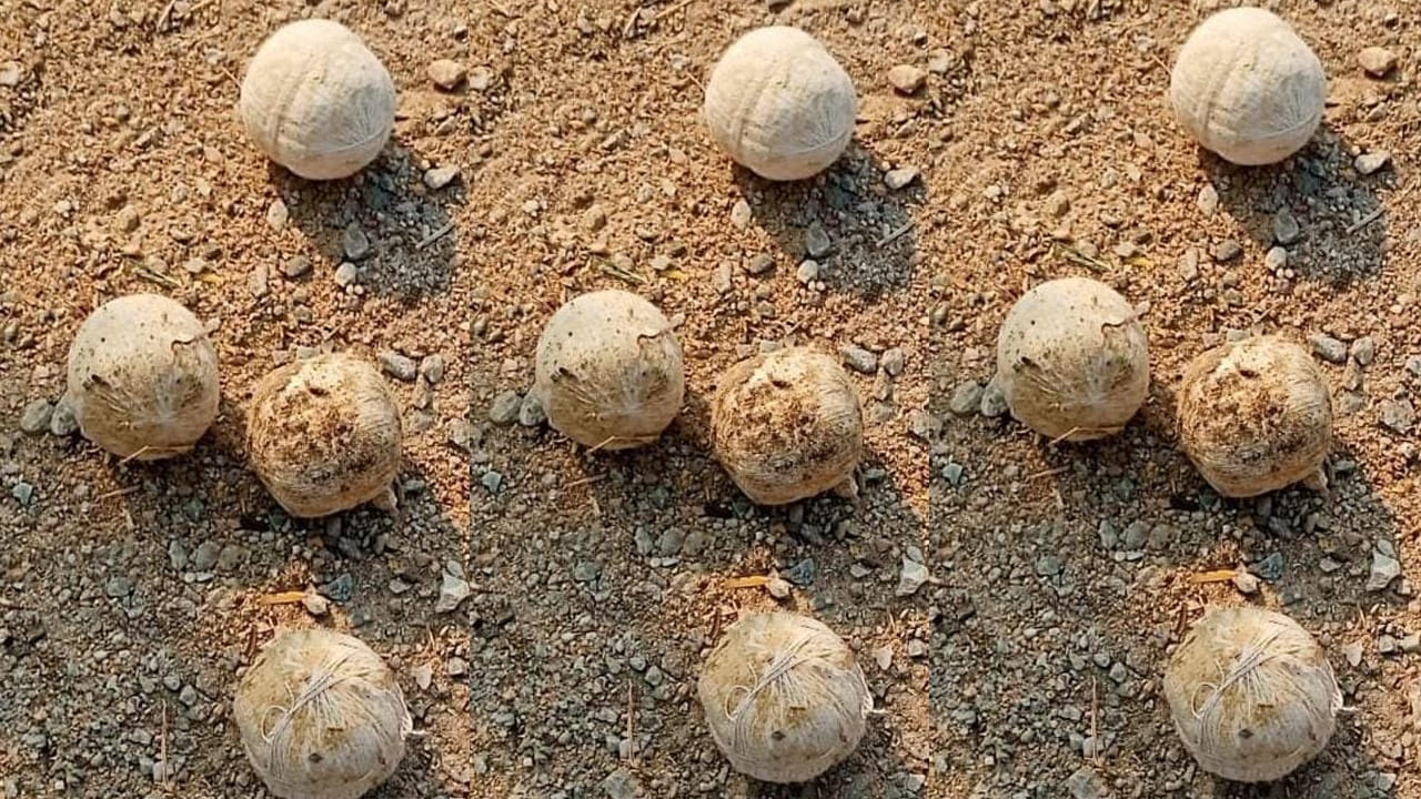 Wanaparthy: చెట్టుపై కనిపించిన అనుమానాస్పద కవర్.. ఏముందా అని ఓపెన్ చేయగా..