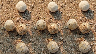 Telangana: చట్టంగా మారిన పేరెంట్స్ బాధ్యత.. ప్రభుత్వం తెచ్చిన కొత్త చట్టం ఎలా పనిచేస్తుంది