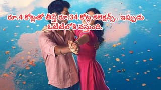 Tollywood : నానికి ఇప్పుడున్న ఫేమ్‏కు ఆ సినిమా సూపర్ హిట్ అయ్యేది.. డైరెక్టర్ కామెంట్స్..