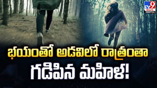 Snake Farming: ఓరి దేవుడో..! వ్యవసాయం కాదు.. పాముల పెంపకంతో కోట్లు సంపాదిస్తున్న రైతులు.. ఎక్కడంటే.?