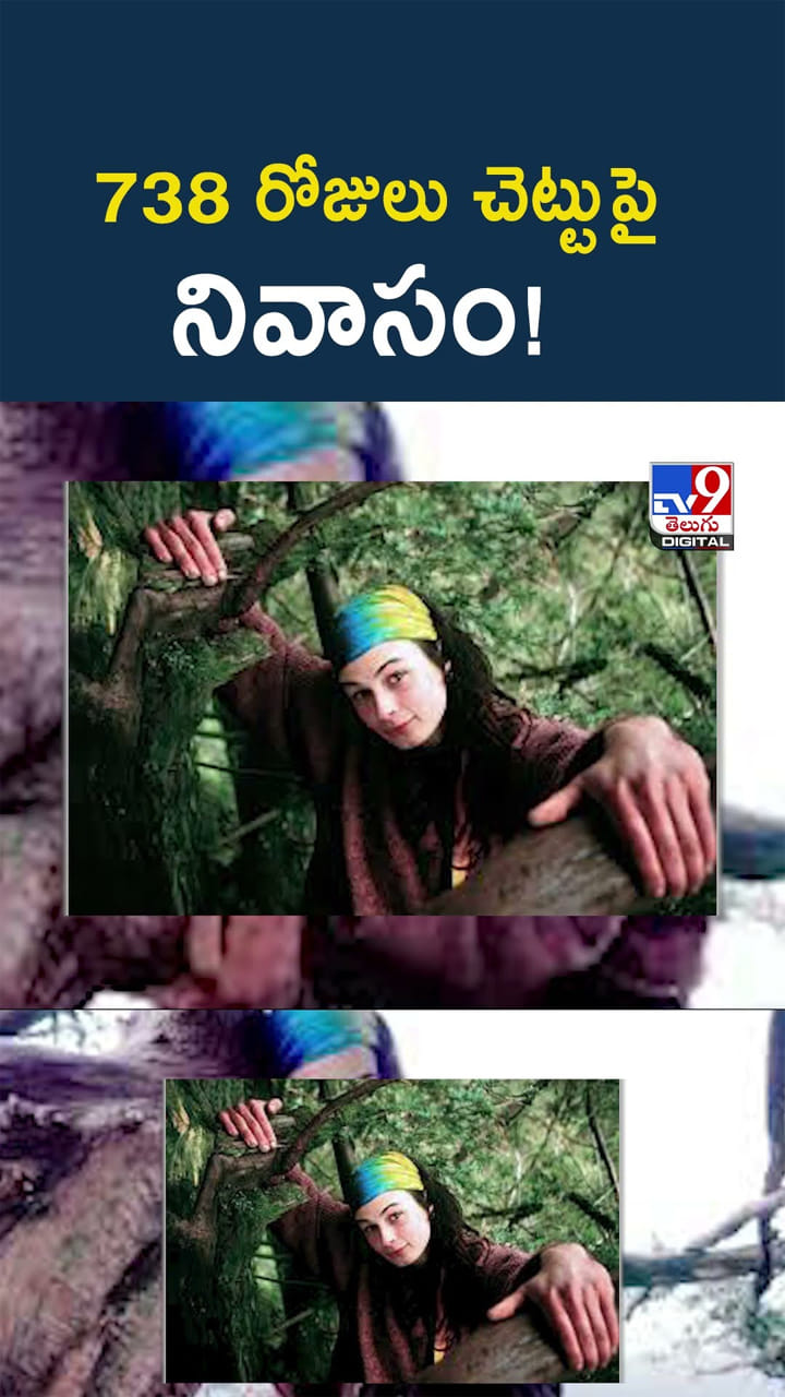 సెల్యూట్ అక్క.. 738 రోజులు చెట్టుపై నివాసం.. ఎందుకంటే..