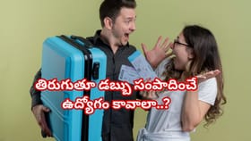 ప్రయాణమే ప్రాణమా? తిరుగుతూ డబ్బు సంపాదించే ఉద్యోగం కావాలా?