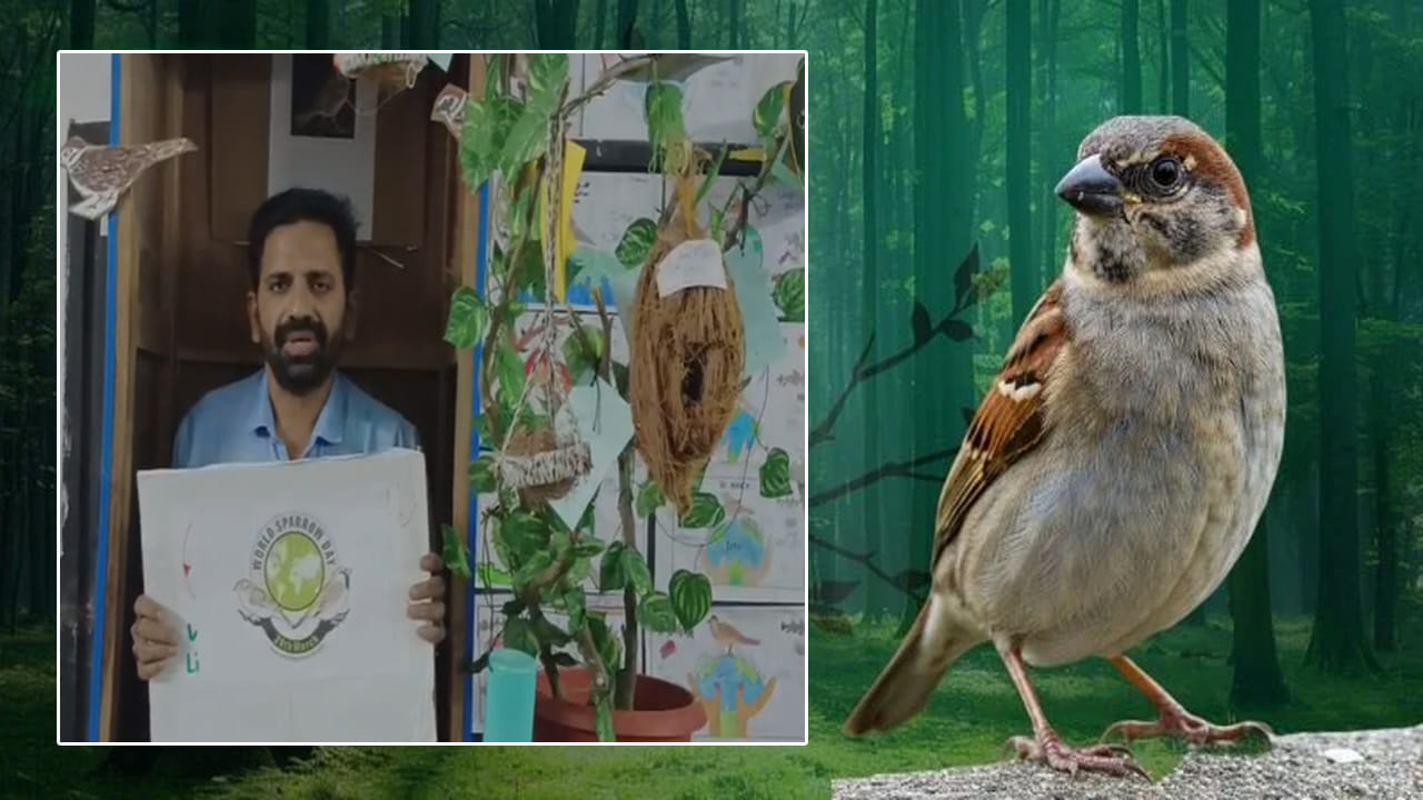 Watch Video: కానరాని పిచ్చుకల కిలకిలలు.. ఈ స్కూల్‌ పిల్లలు, టీచర్లు ఏం చేశారో తెలుసా..?