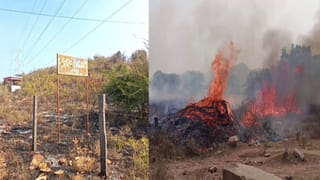 ఖాళీ వాటర్ క్యాన్‌తో అందమైన మినీ చెరువు… పైసా ఖర్చు లేకుండా హోమ్ డెకర్ ఐడియా!