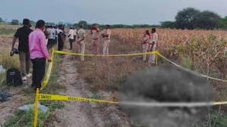 Andhra: స్కూల్‌‌కి వచ్చిన నాగరాజు.. ఈ పిల్లలు చూడండి ఏం చేశారో..