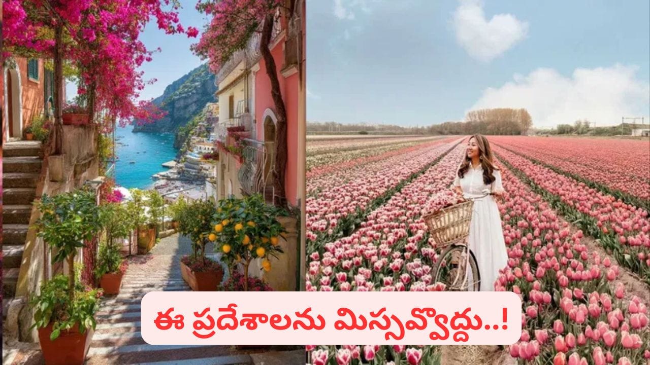 భారత వసంత కాలం ఈ దేశాల్లోనూ..! అద్భుత దృశ్యాలను మిస్సవ్వొద్దంటే వెంటనే బ్యాగ్స్ సర్దేసుకోండి..!