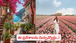 Pot Water in Summer: వేసవిలో మట్టికుండ నీళ్లు తాగితే పుట్టెడు లాభాలు.. వడదెబ్బకు నో ఛాన్స్!