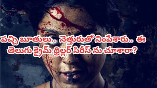 Dhurandhar 2: అడ్వాన్స్ బుకింగ్‌లో ‘ధురంధర్ 2’ దూకుడు.. HYDలో ప్రీమియర్ షో టికెట్ రేటు ఎంతుందో తెలుసా?