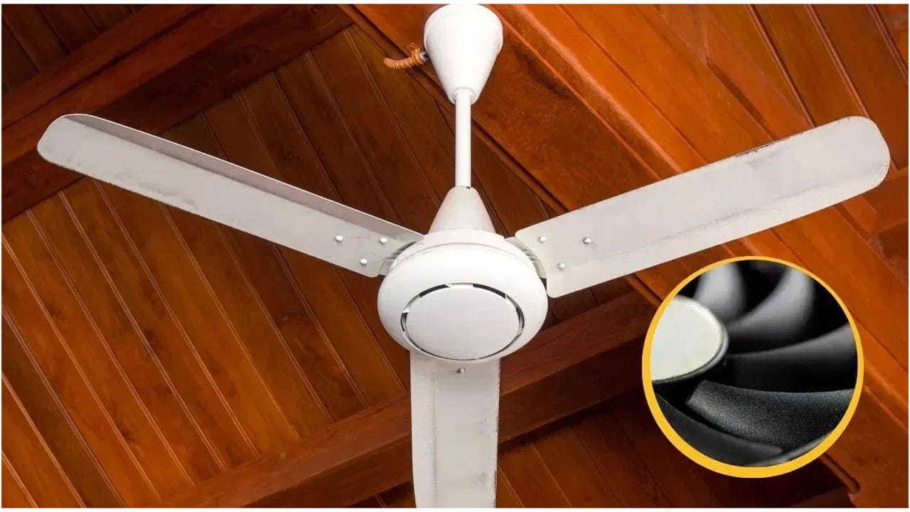 ఏది ఎంచుకోవాలి?: మీరు నివసించే ప్రాంతంలో ఎండలు ఎక్కువగా ఉండి, మీకు వేగవంతమైన గాలి కావాలంటే 3-రెక్కల ఫ్యాన్ తీసుకోవడమే తెలివైన పని. ఒకవేళ మీ గదిలో ఇప్పటికే ఏసీ ఉండి, కేవలం గాలి సర్క్యులేషన్ కోసం, తక్కువ శబ్దం కోరుకుంటే 4-రెక్కల ఫ్యాన్ ఎంచుకోవచ్చు.