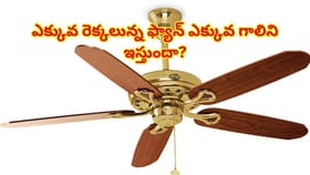 ఎక్కువ రెక్కలున్న ఫ్యాన్ ఎక్కువ గాలిని ఇస్తుందా? అసలు రహస్యం ఇదే!