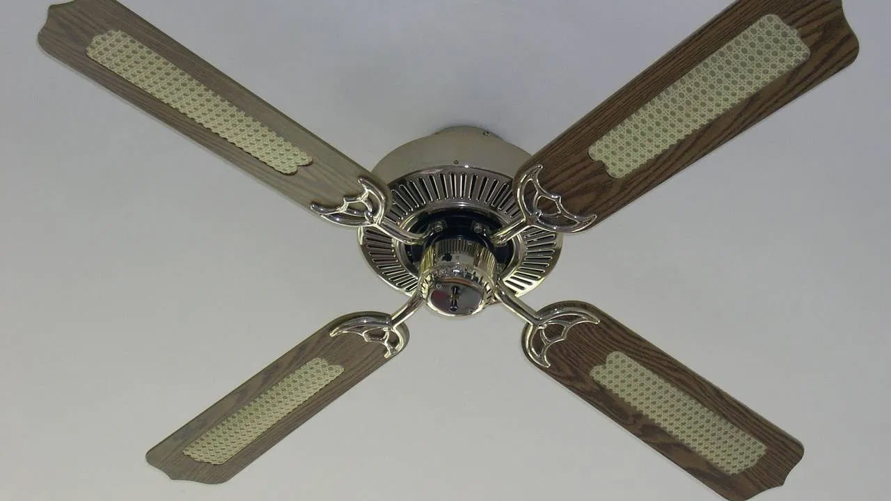 4 రెక్కల ఫ్యాన్: మీకు ఫ్యాన్ గాలి కావాలి కానీ, ఆ 'రెరెరె' అనే శబ్దం నచ్చదా? అయితే 4 బ్లేడ్ల ఫ్యాన్ మీకోసం. ఈ ఫ్యాన్లు 3 రెక్కల ఫ్యాన్ల కంటే కొంచెం తక్కువ వేగంతో తిరిగినప్పటికీ గాలి ప్రవాహం చాలా మృదువుగా ఉంటుంది. బెడ్ రూమ్స్, ఏసీ ఉన్న గదుల్లో ఇవి చాలా బాగుంటాయి. గాలి ప్రవాహం మరియు లుక్ పరంగా ఇవి ఒక బ్యాలెన్స్‌డ్ ఆప్షన్‌గా నిలుస్తాయి.
