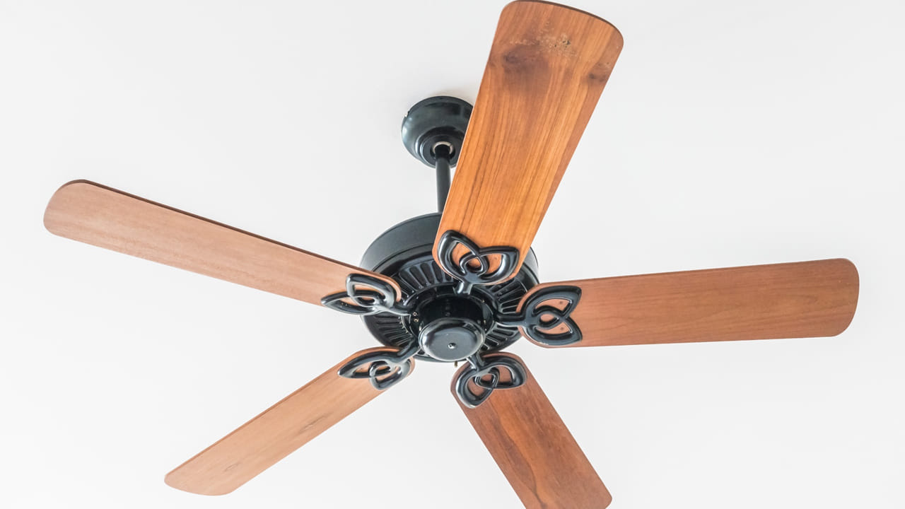 5 రెక్కల ఫ్యాన్: పాతకాలపు మహారాజుల కాలం నాటి లుక్ రావాలన్నా, గది అందంగా కనిపించాలన్నా ఇవి బెస్ట్. ఇవి ప్రధానంగా డెకరేటివ్ పర్పస్ కోసం రూపొందించినవి. రెక్కల సంఖ్య పెరగడం వల్ల మోటారుపై ఒత్తిడి పెరిగి, ఫ్యాన్ వేగం తగ్గుతుంది. ఇవి నెమ్మదిగా తిరుగుతూ గాలిని గది అంతా సమానంగా పంపిణీ చేస్తాయి కానీ 3 రెక్కల ఫ్యాన్ లాగా స్పీడ్ గాలిని ఇవ్వలేవు. మోటారు ఎక్కువ శ్రమ పడాల్సి రావడం వల్ల కరెంట్ వినియోగం కొంచెం ఎక్కువగా ఉండవచ్చు.
