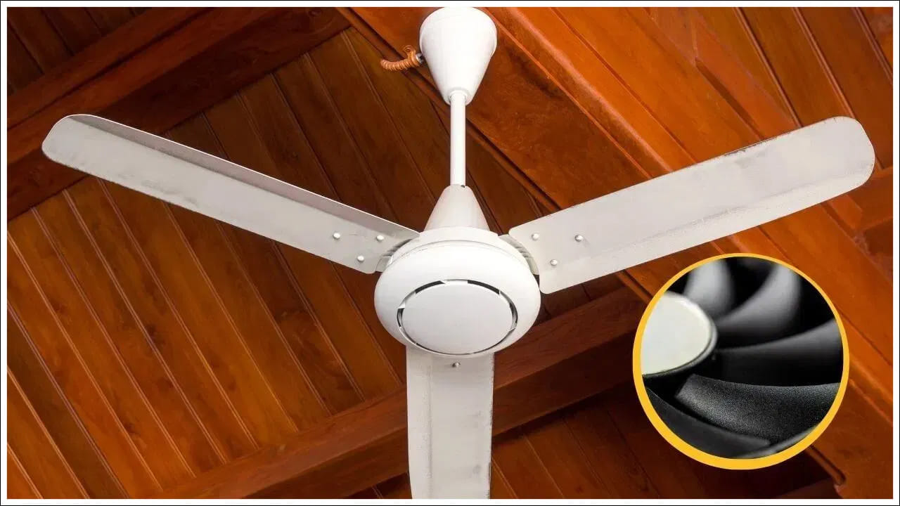 3 రెక్కల ఫ్యాన్: దేశంలోని మధ్యతరగతి ఇళ్లలో 90శాతం ఇవే కనిపిస్తాయి. దీనికి కారణం లేకపోలేదు. రెక్కలు తక్కువగా ఉండటం వల్ల గాలిలో ఘర్షణ తక్కువగా ఉంటుంది. దీనివల్ల ఫ్యాన్ చాలా వేగంగా తిరుగుతూ, గదిని త్వరగా చల్లబరుస్తుంది. మోటారుపై భారం తక్కువగా ఉండటం వల్ల విద్యుత్ వినియోగం తక్కువగా ఉంటుంది. ఇవి బడ్జెట్ ఫ్రెండ్లీగా ఉండటమే కాకుండా ఎక్కువ గాలిని అందిస్తాయి.
