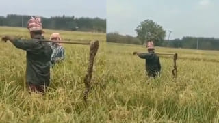 చేపల దొంగల టవర్ ప్లాన్.. జల్సాల కోసం సినిమా రేంజ్‌లో చోరీలు..సీన్‌ కట్‌చేస్తే..