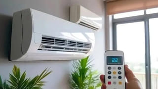 విరిగిన ఎముకలకు ఈ పచ్చడి ఓ వరం..  తింటే నడవలేని వాళ్ళు కూడా పరిగెత్తుతారు