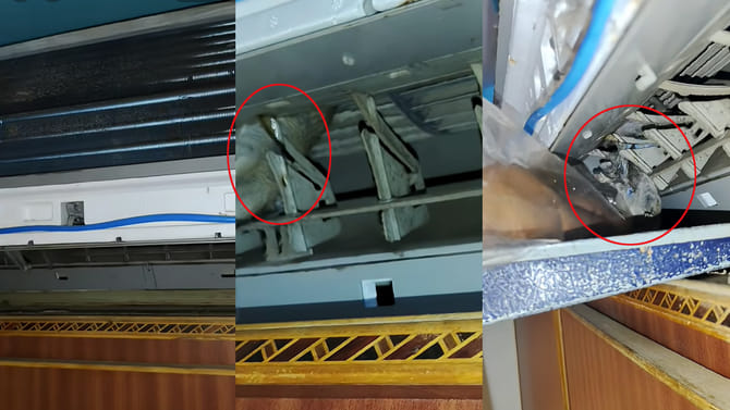 AC లోపలి నుంచి చప్పుళ్లు.. టెక్నిషియన్‌ విప్పి చూడగా..