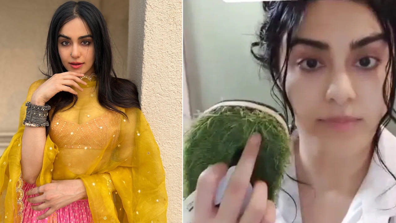 Adah Sharma: నెటిజన్ అసభ్యకరమైన ప్రశ్న.. చెప్పు చూపించిన అదాశర్మ.. వీడియో ఇదిగో...